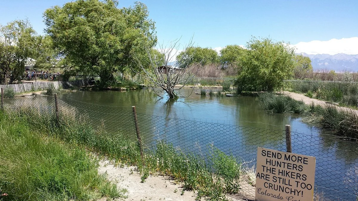 Colorado Gators Reptile Park
