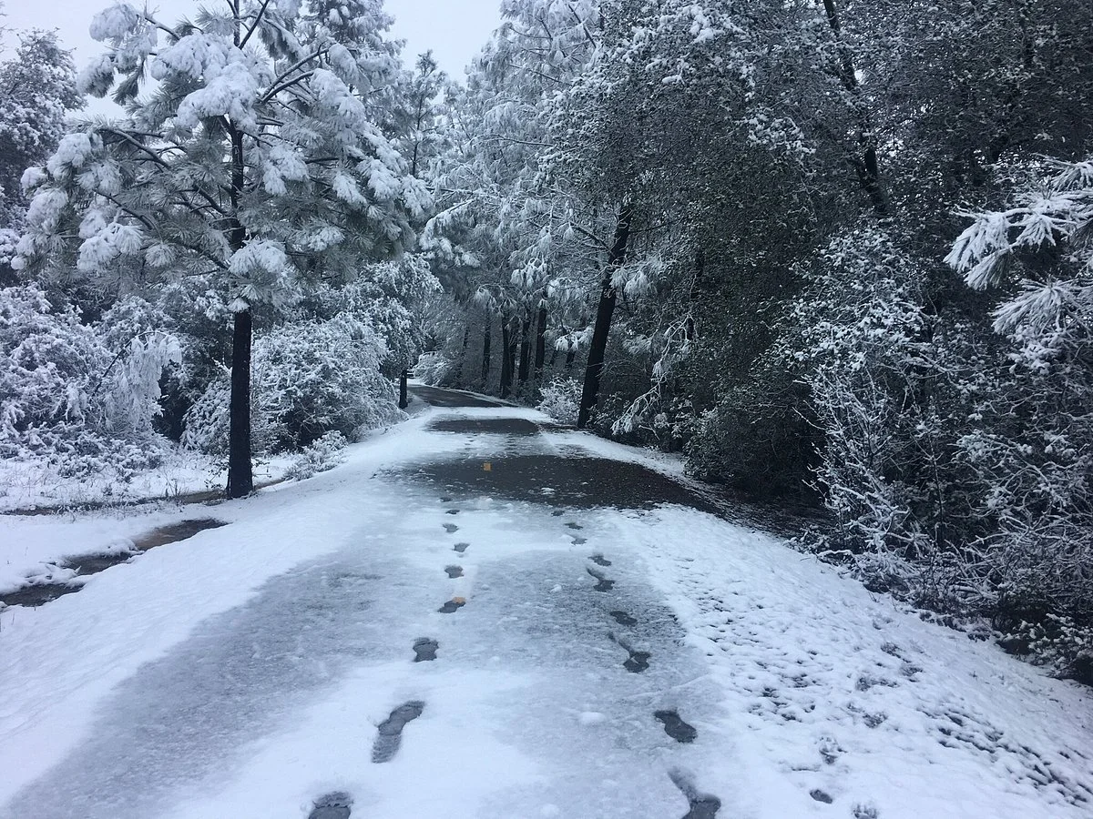 El Dorado Trail