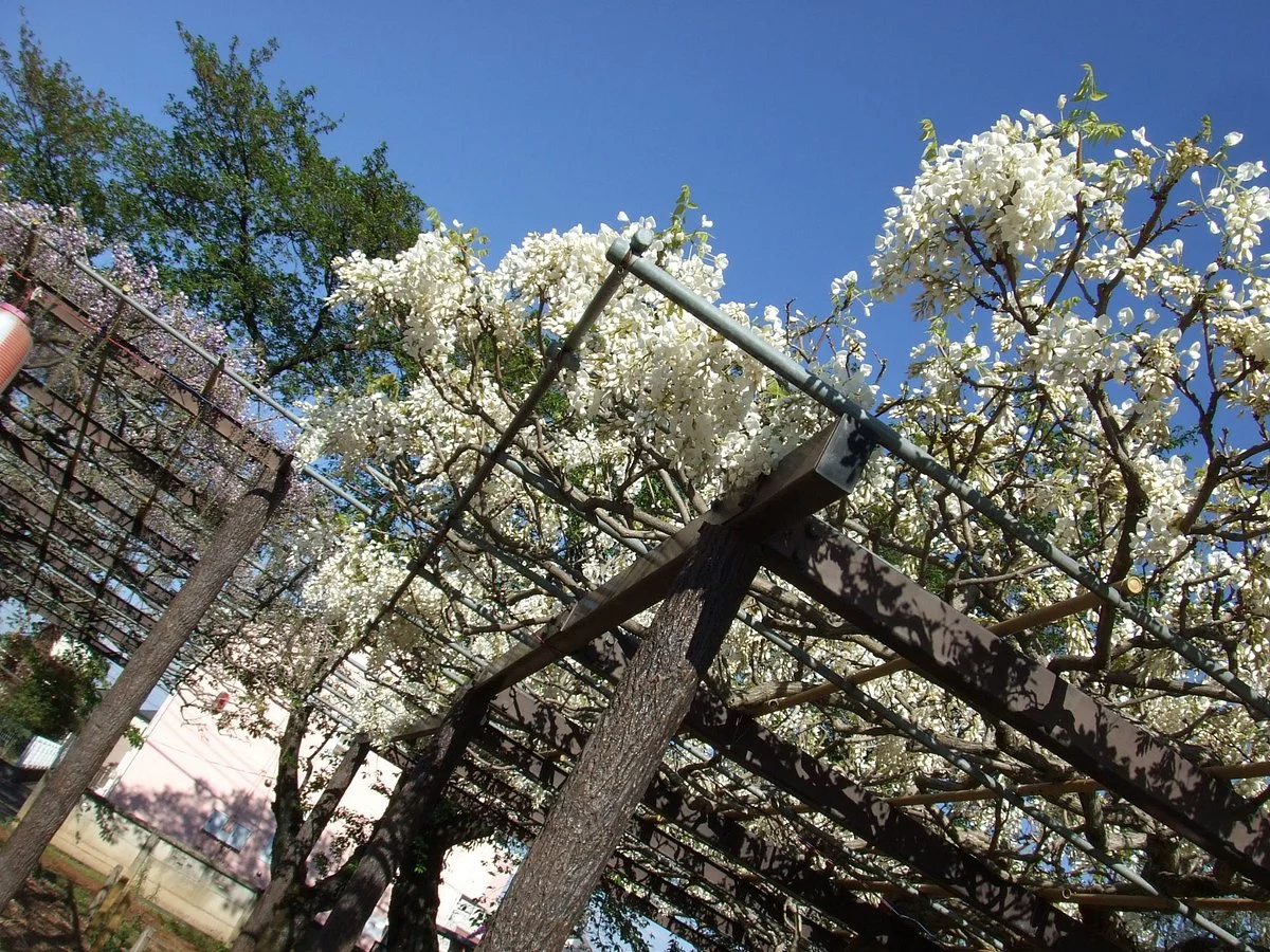 Daitembaku Park
