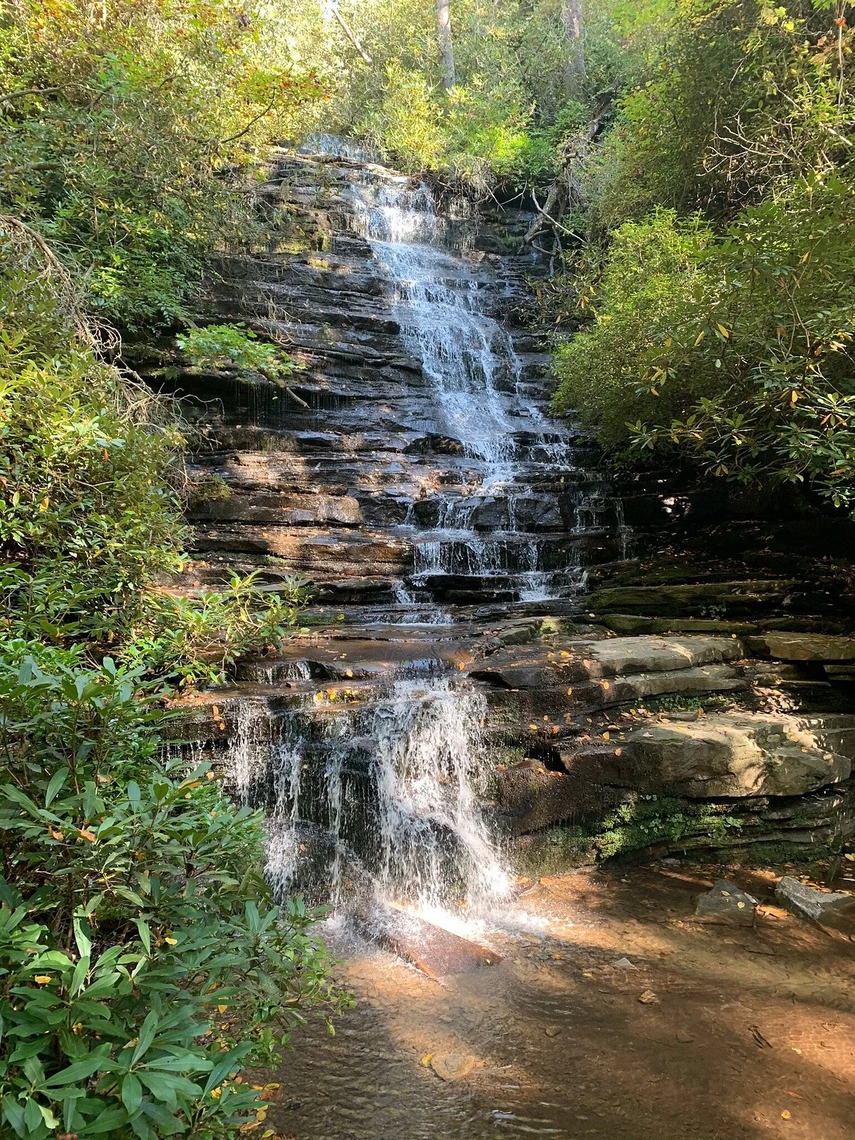 Angel Falls Trail