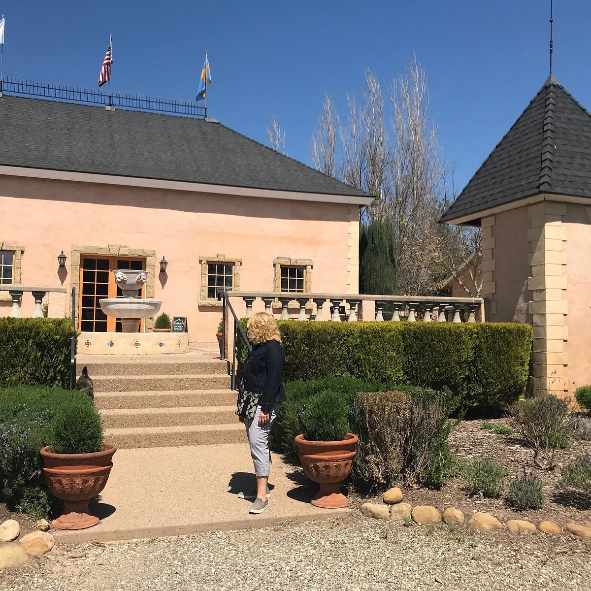 The Brander Vineyard