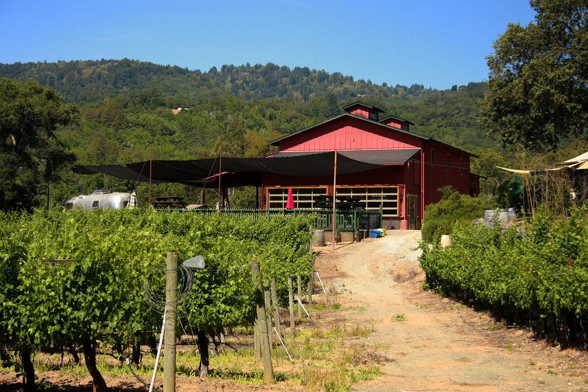 Martin Ranch Winery
