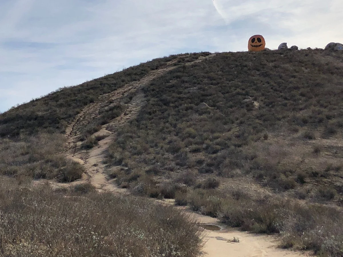 Pumpkin Tock Trail
