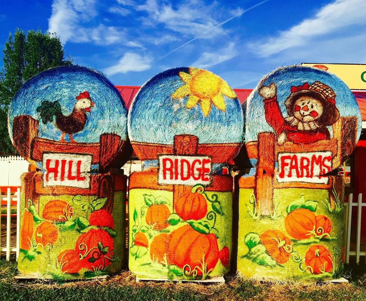 Hill Ridge Farms
