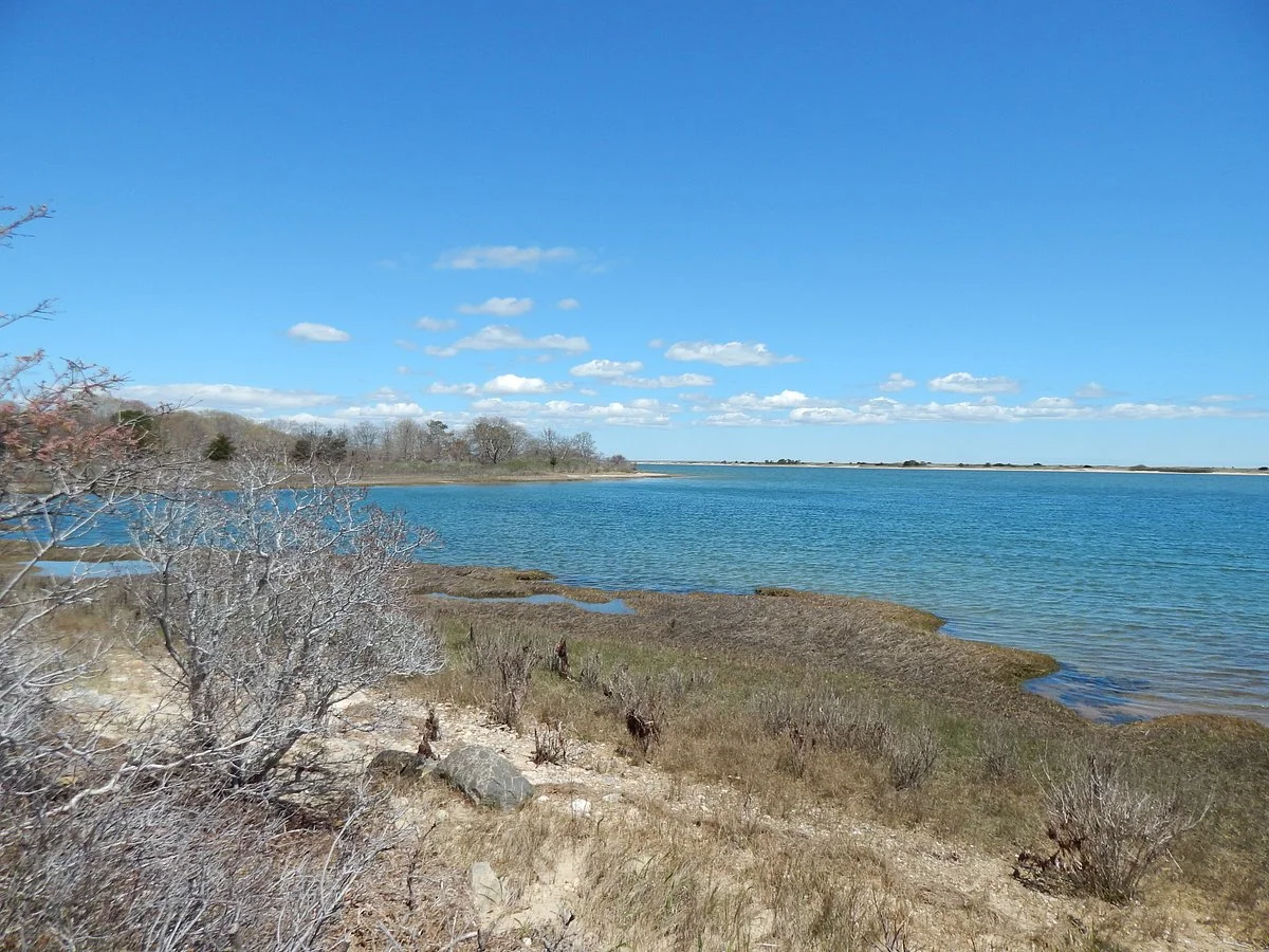 Mass Audubon Felix Neck Wildlife Sanctuary