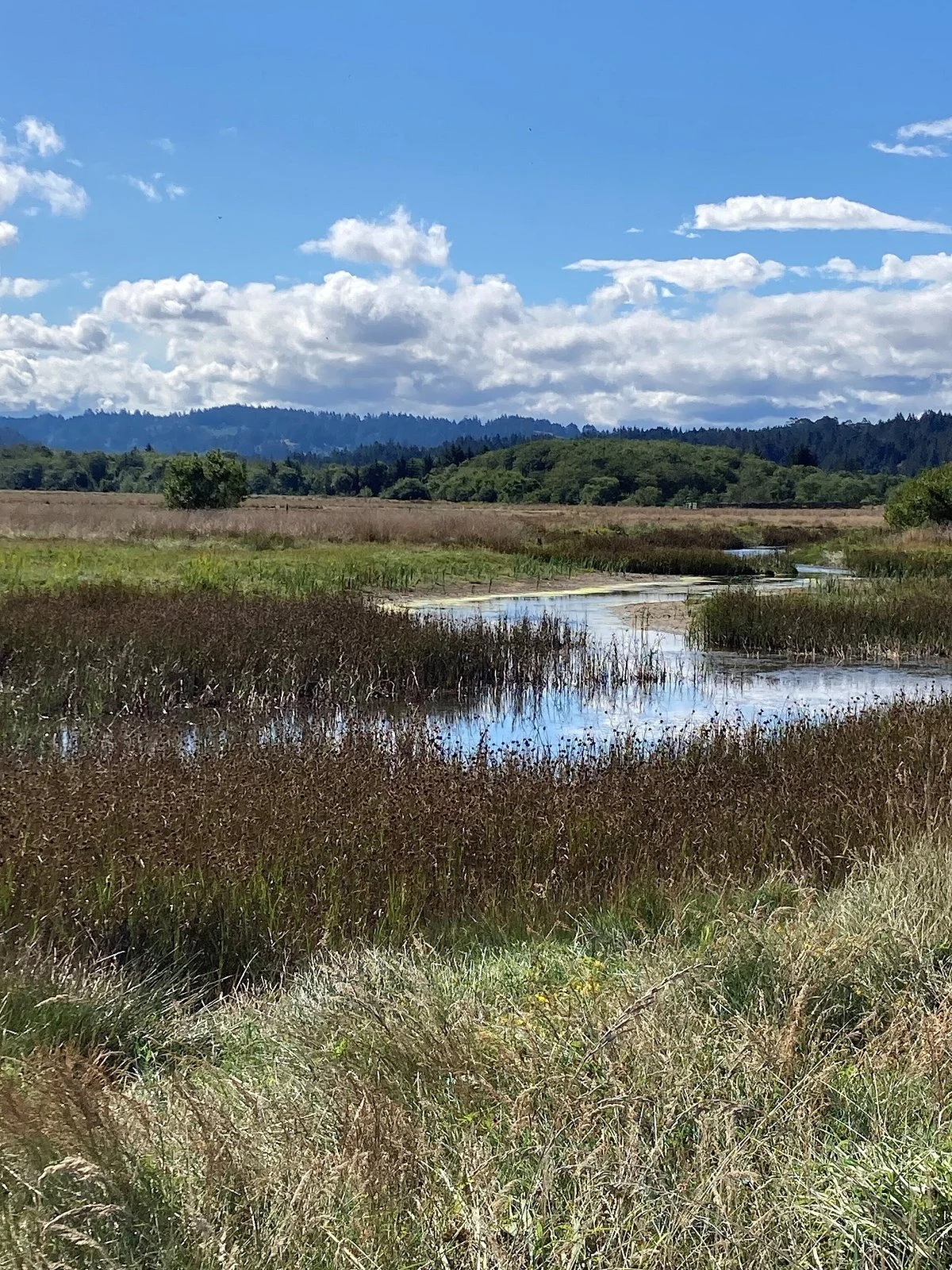 Humboldt Bay National Wildlife Refuge Complex