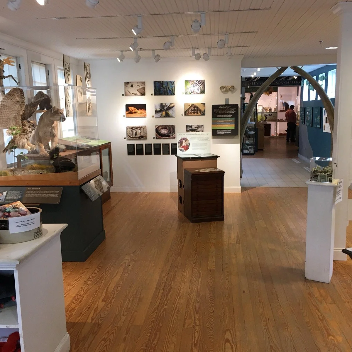 George B. Dorr Museum of Natural History