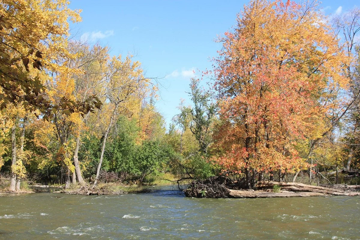 1000 Islands Environmental Center