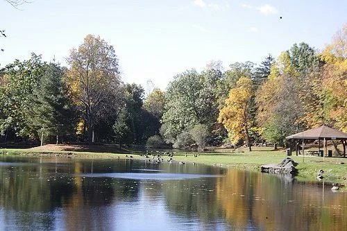 Depew Park