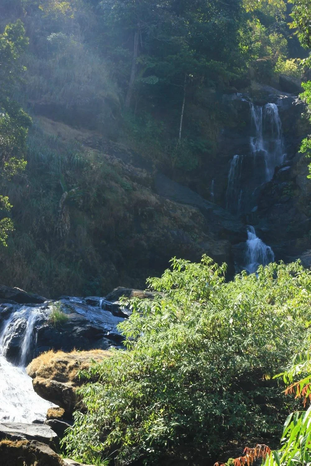 Brahmagiri Wildlife Sanctuary
