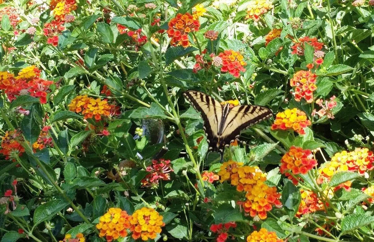 River Walk Park