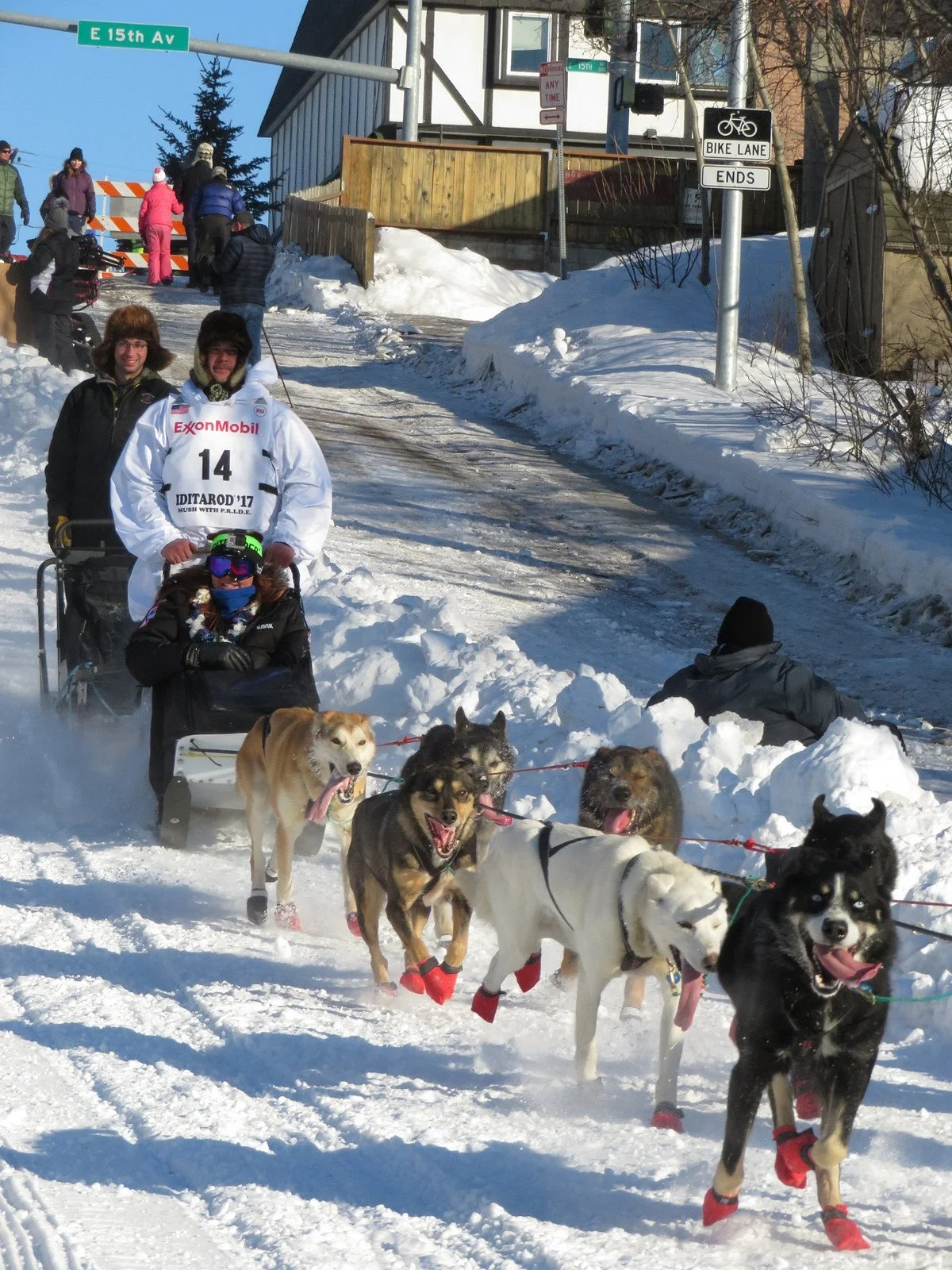 Iditarod Trail Sled Dog Race