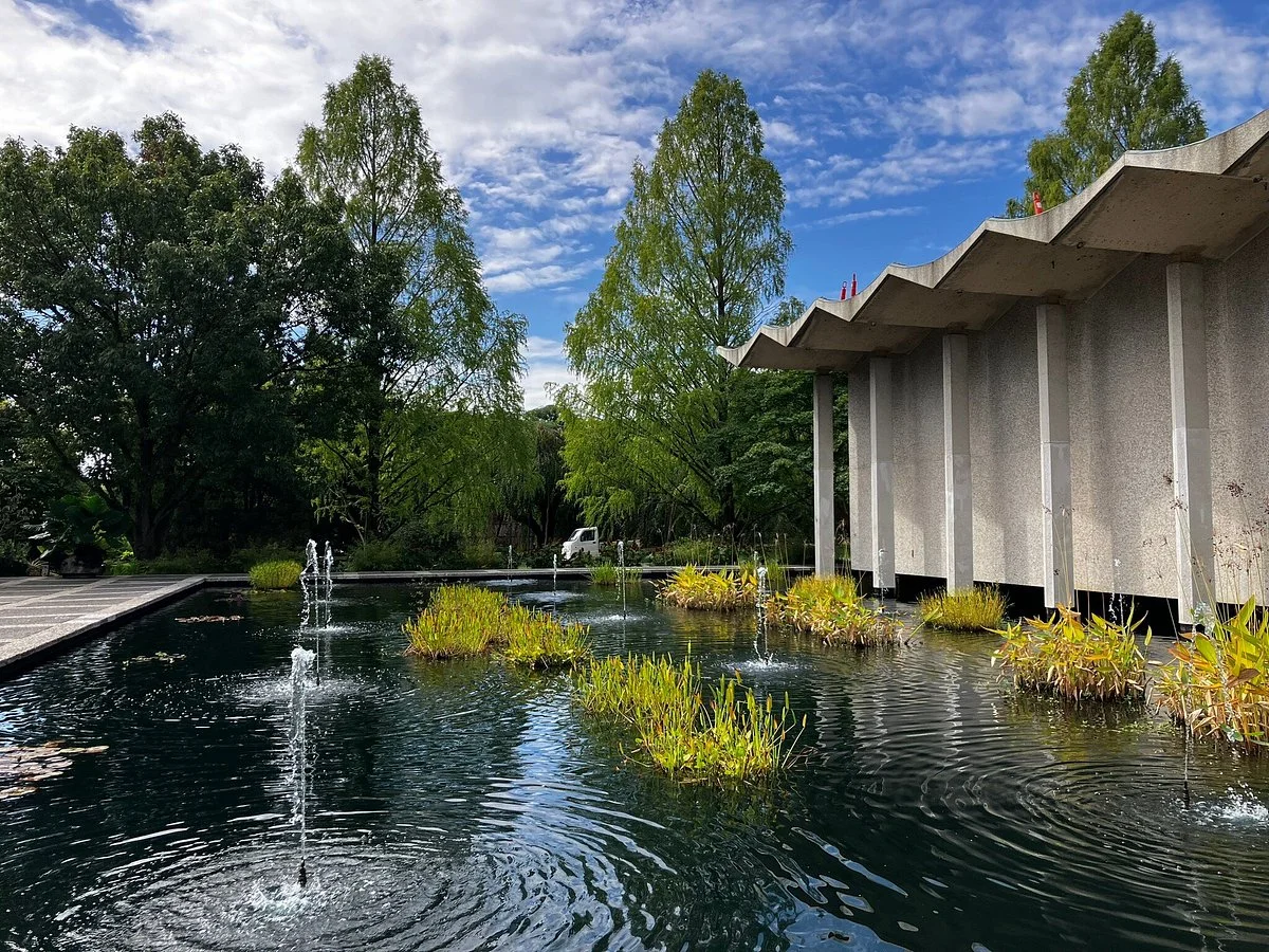 National Bonsai & Penjing Museum