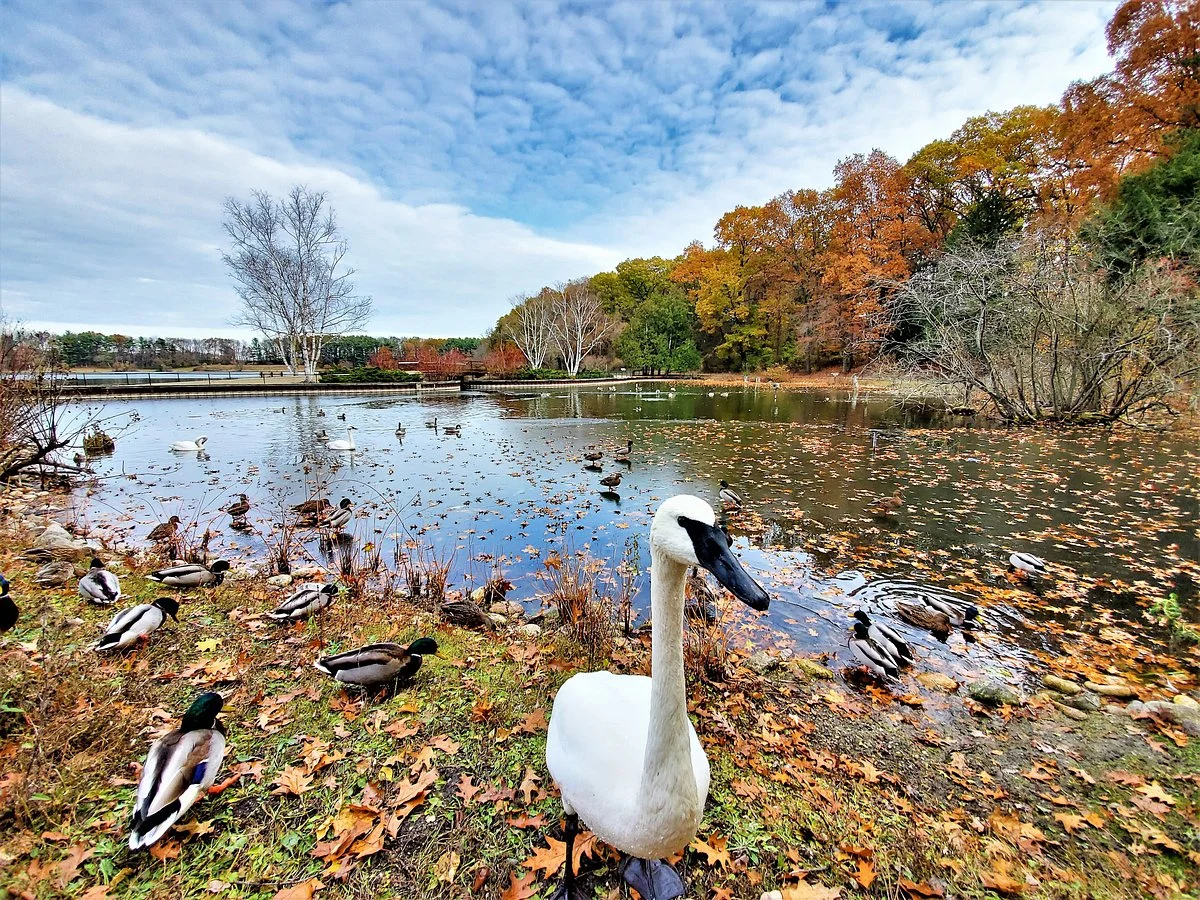 W.K. Kellogg Bird Sanctuary
