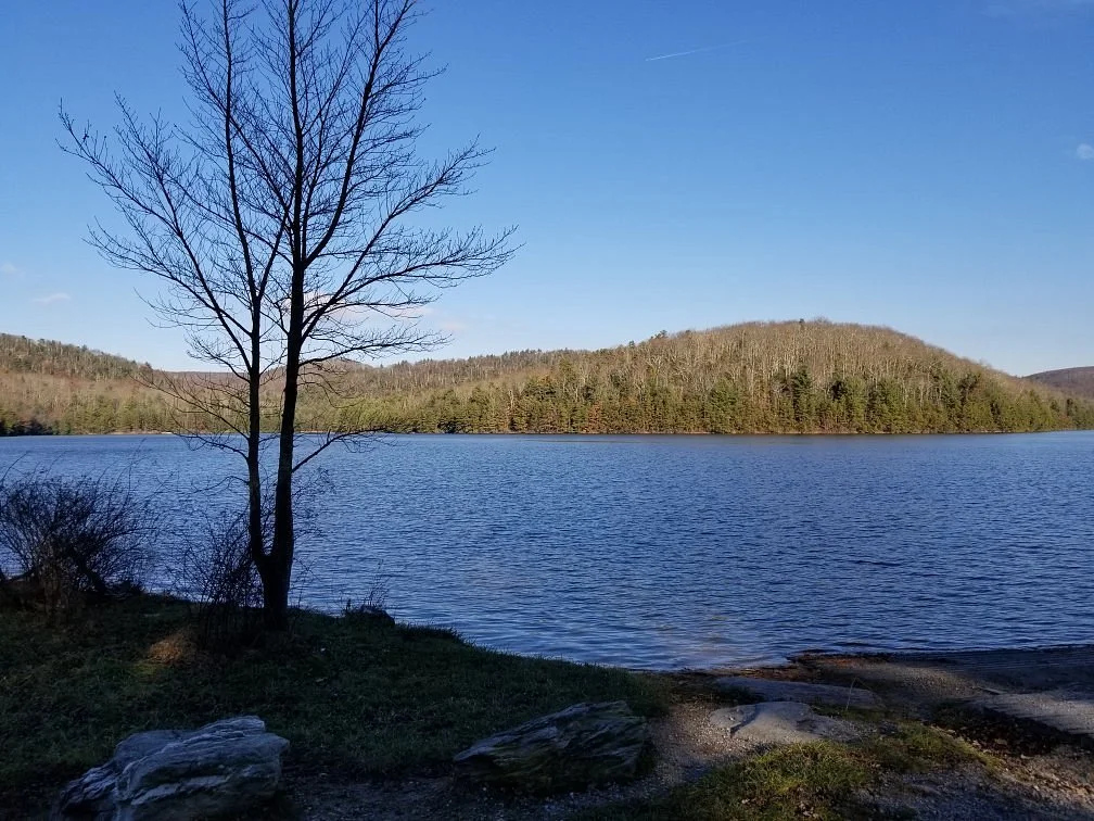 Michaux State Forest