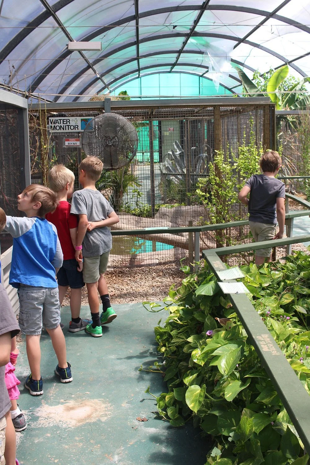 Texas Reptile Zoo