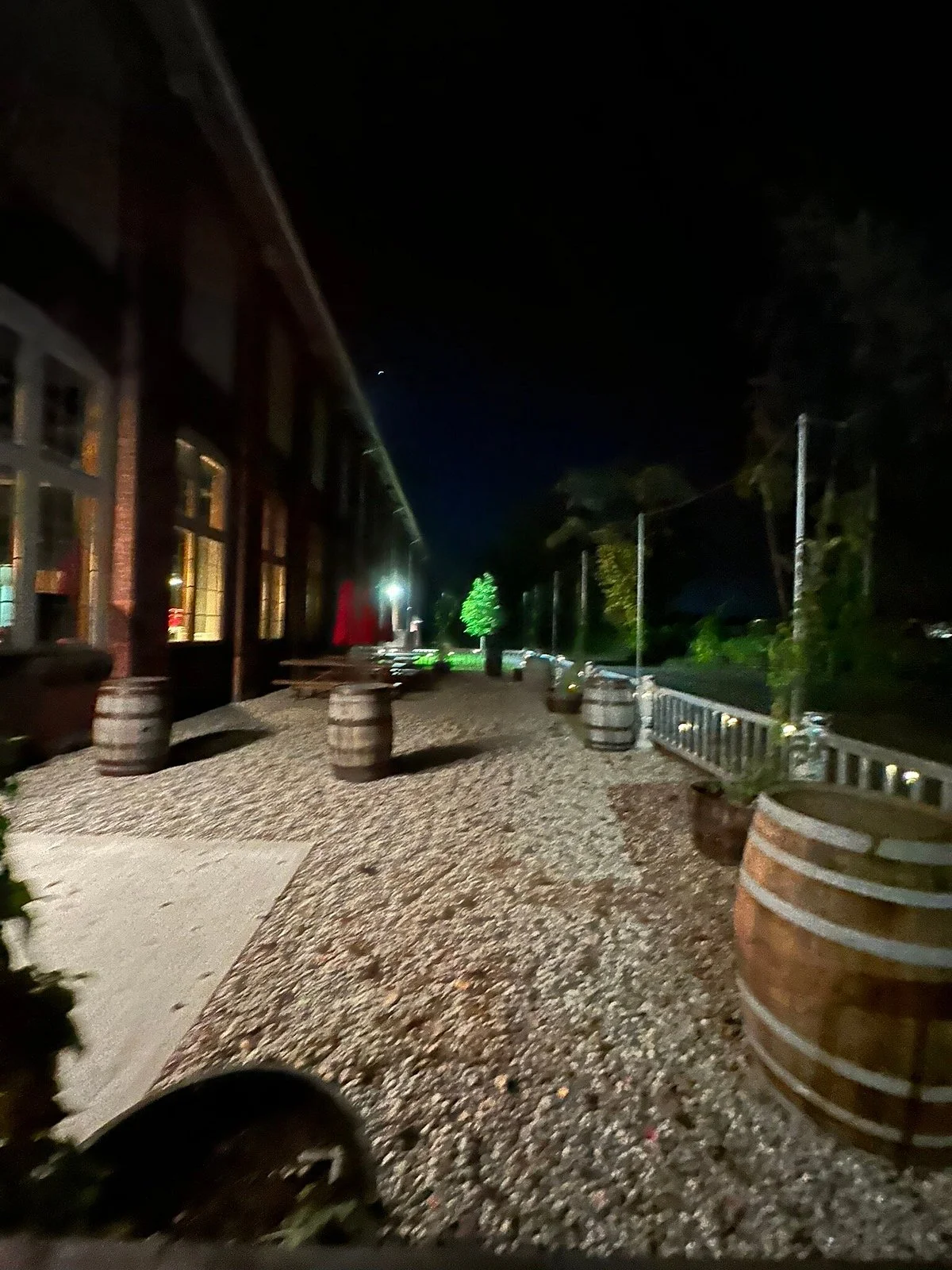 Stubborn Beauty Brewing