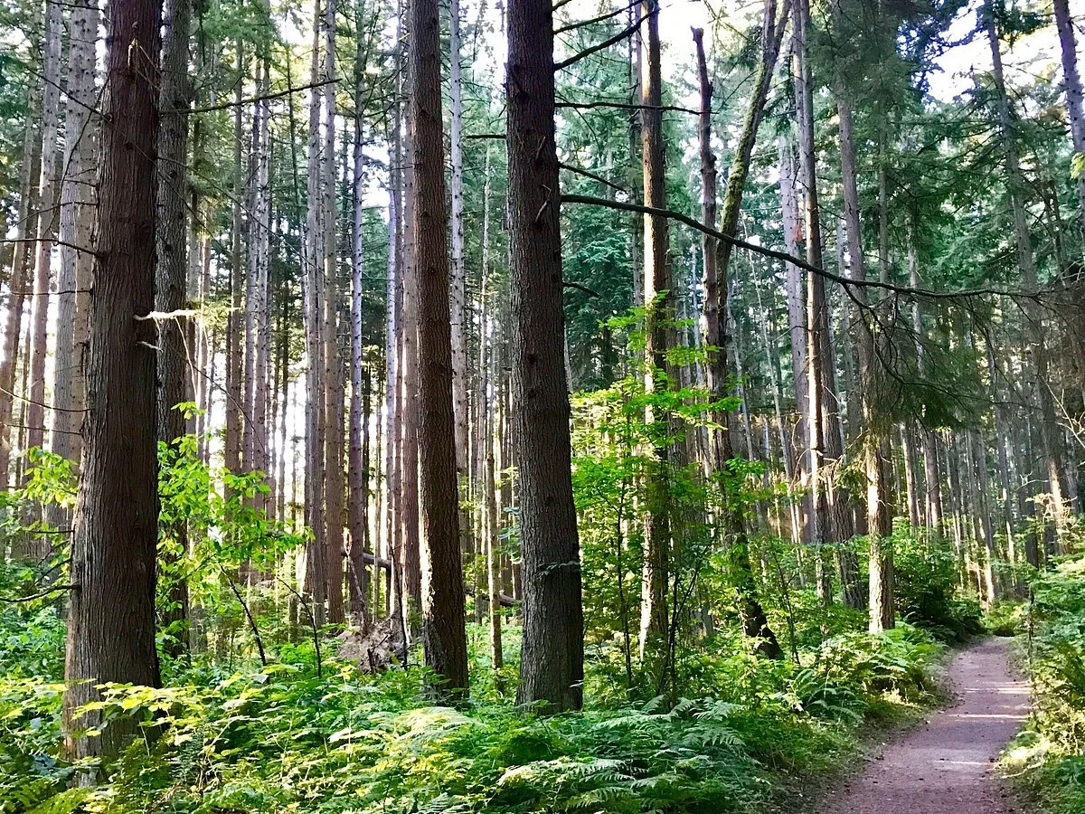 Bridle Trails State Park