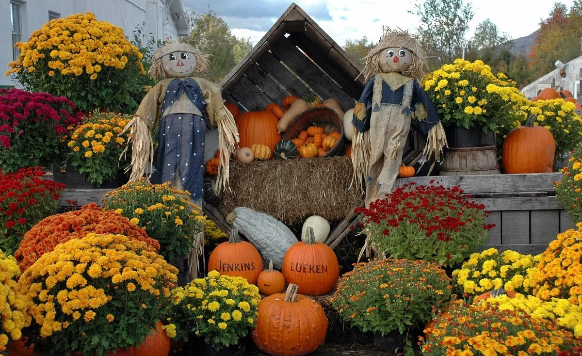 Jenkins Lueken Orchards