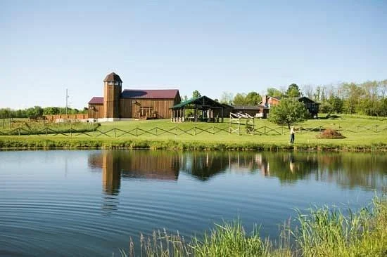 Americana Vineyards