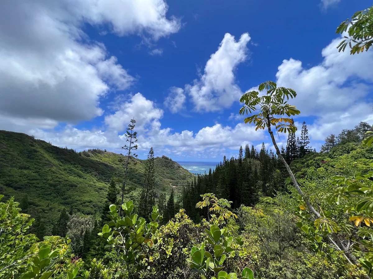 Hauula Loop Trail