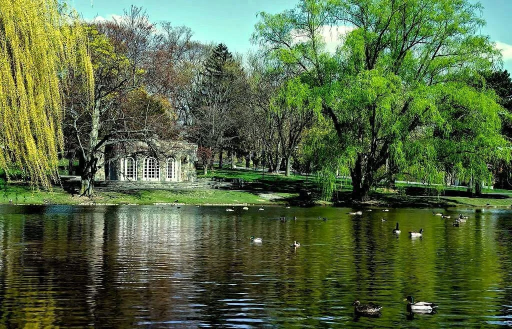 Downing Park