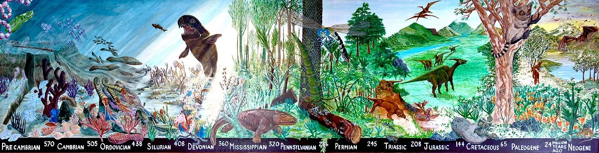 Natural History Museum of Cal Poly Humboldt