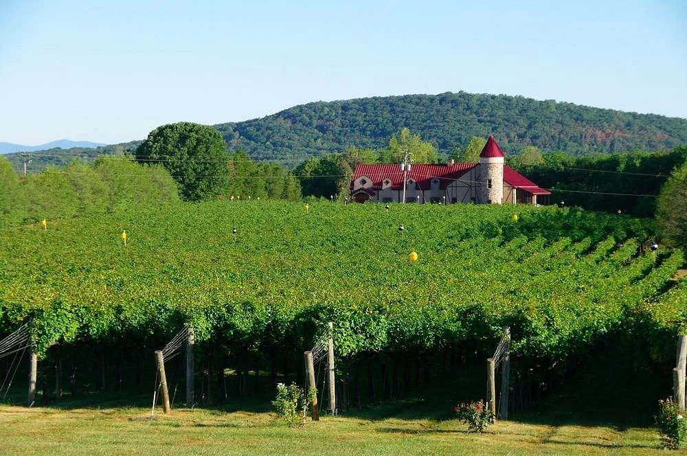 Horton Vineyards