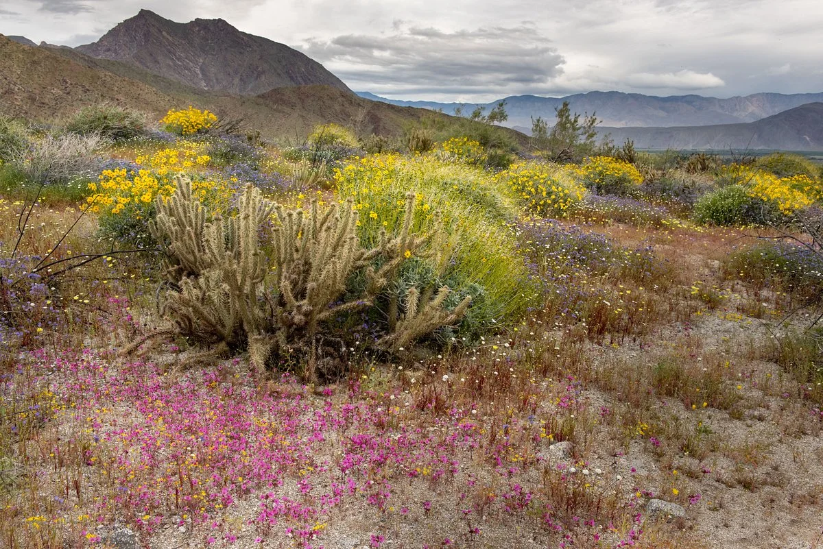 Hellhole Canyon Trail