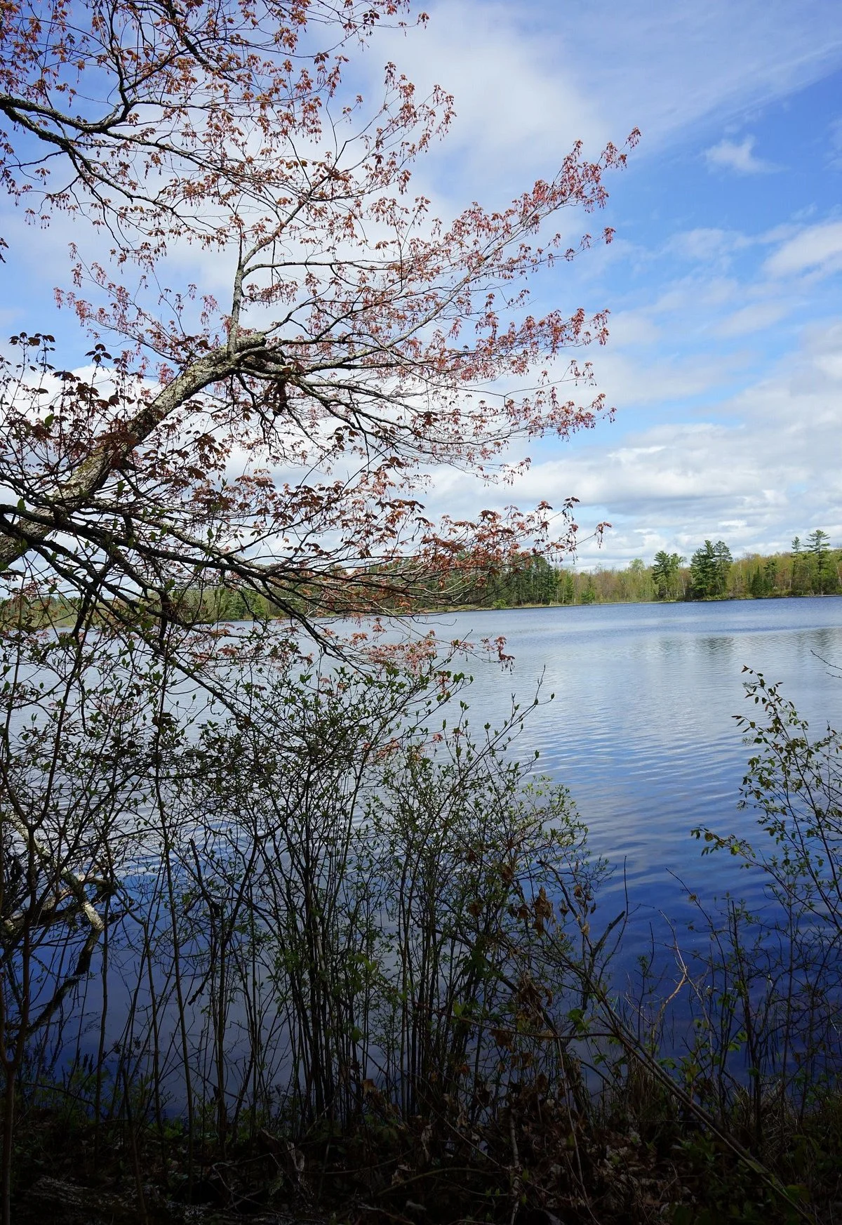 Savanna Portage State Park