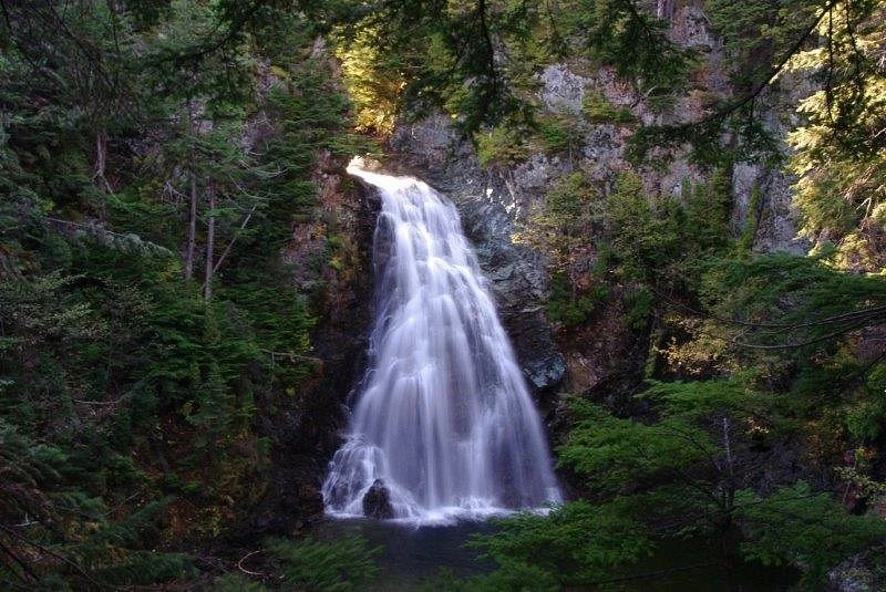 Moore Creek Falls