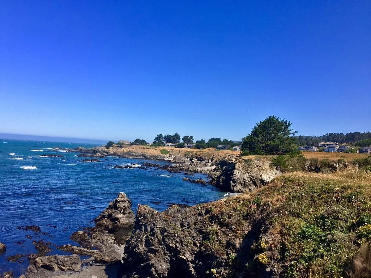Walk On Beach Sea Ranch Access Trail