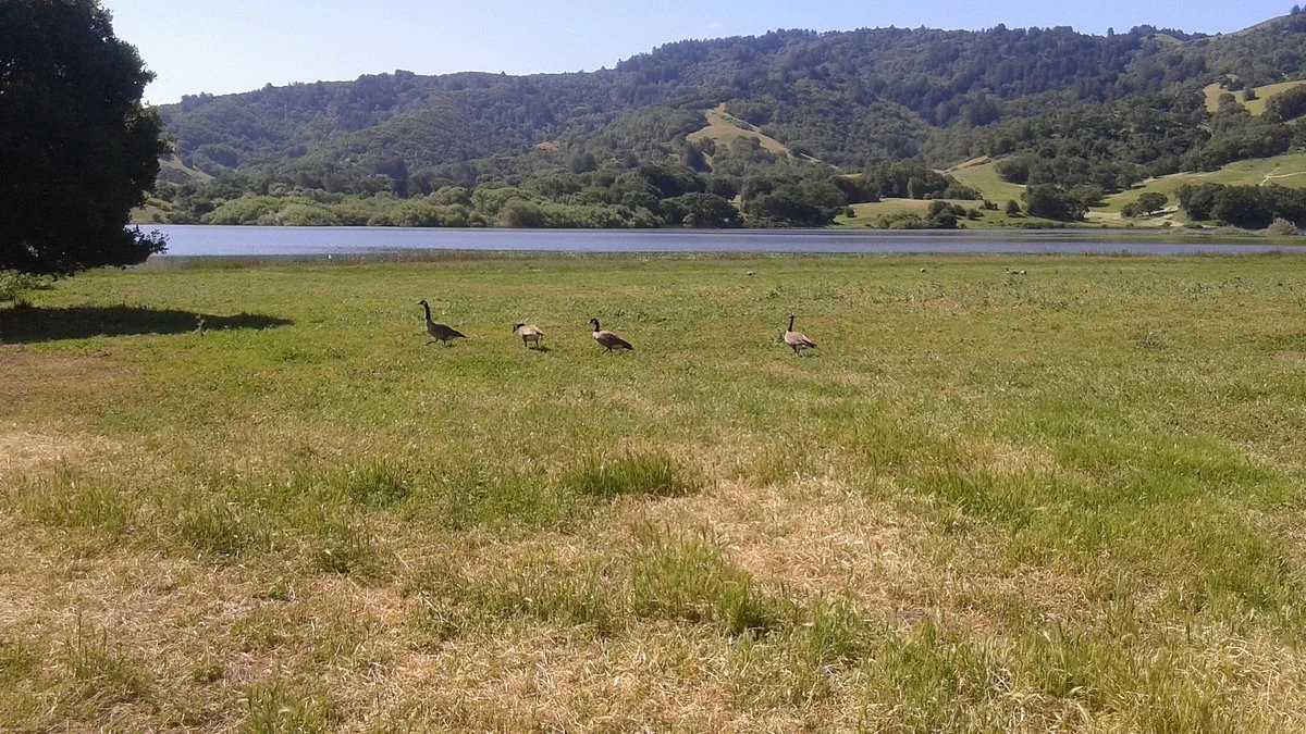 Stafford Lake Park
