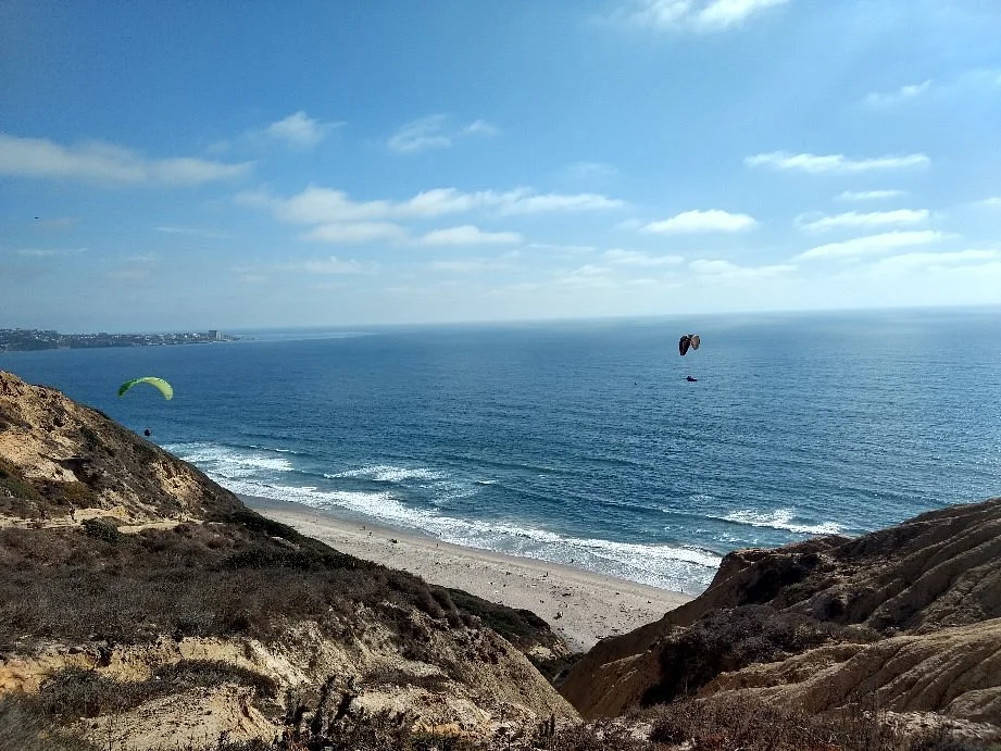Black's Beach