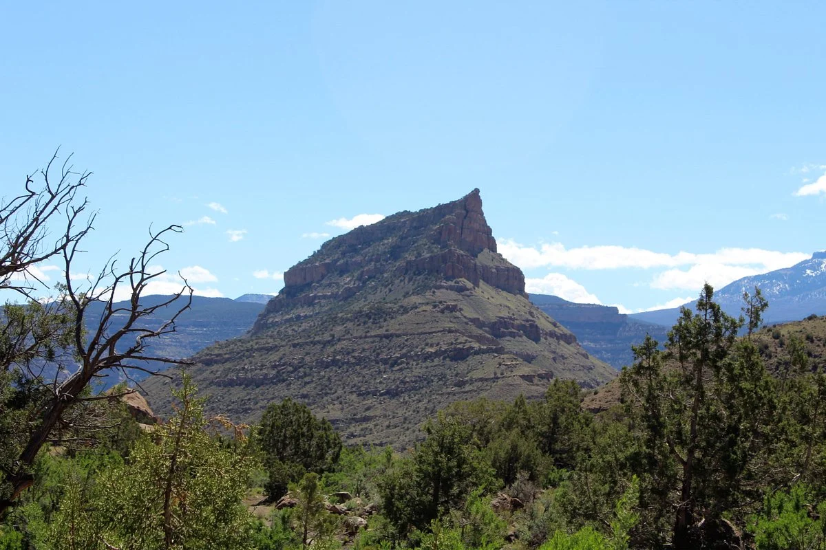 The Little Book Cliffs Wild Horse Area