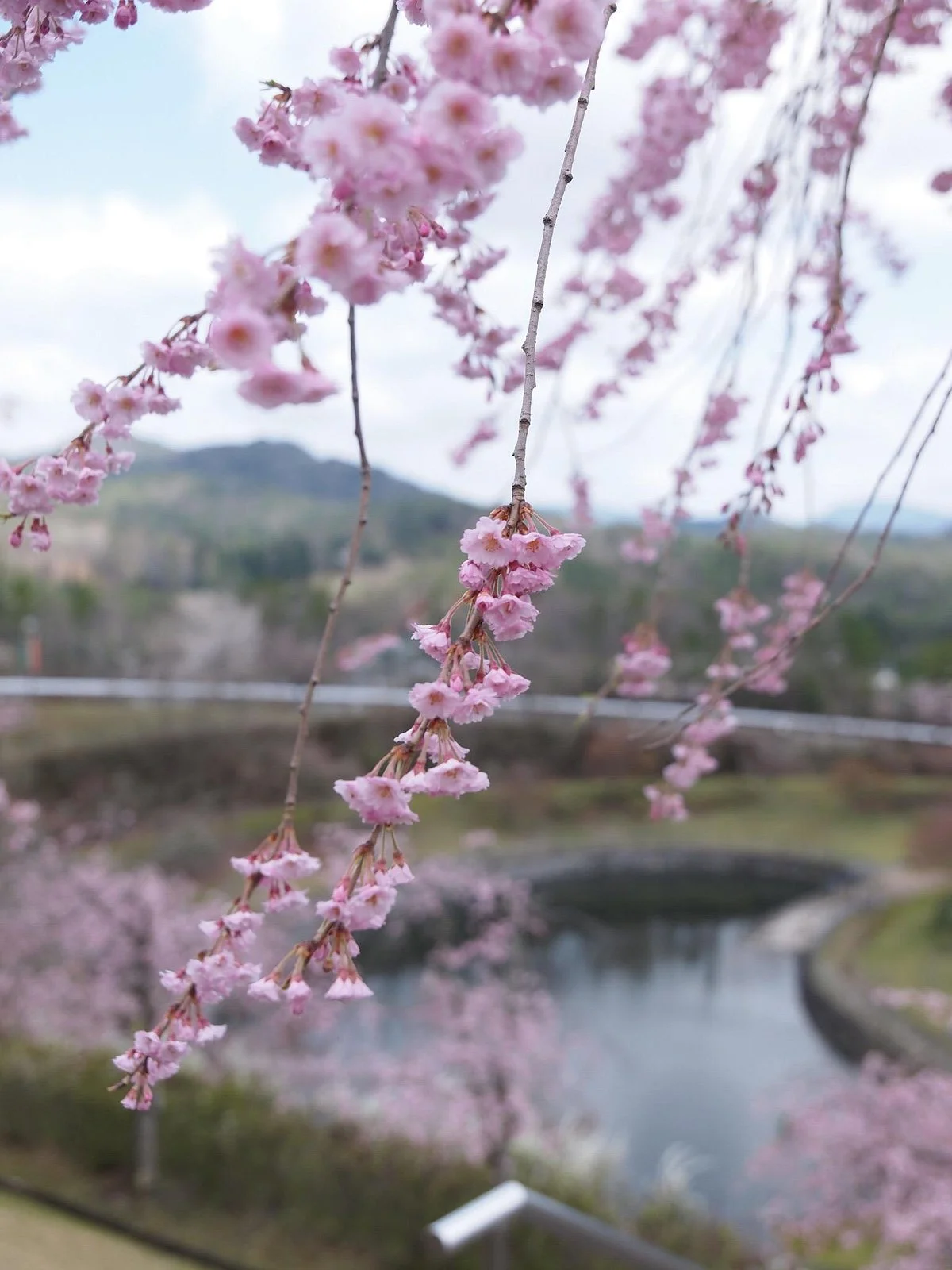 Shiga Prefectural Togeino Mori