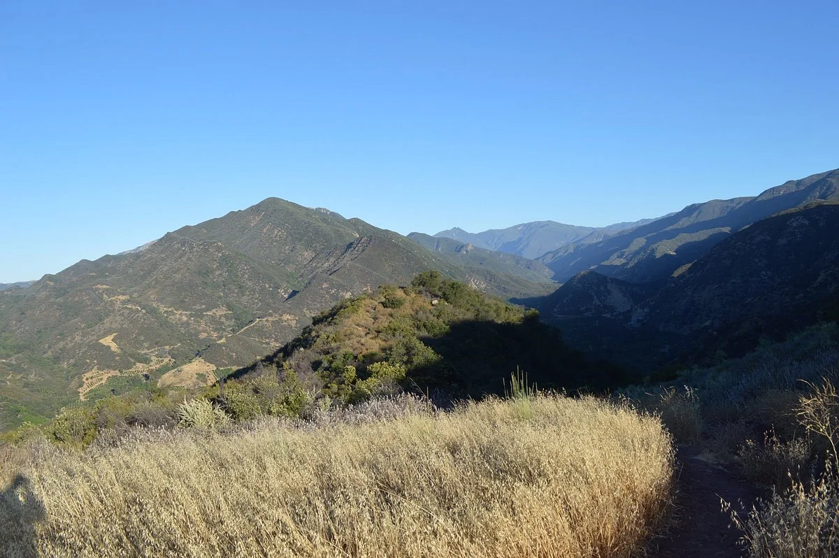 Cozy Dell Trail