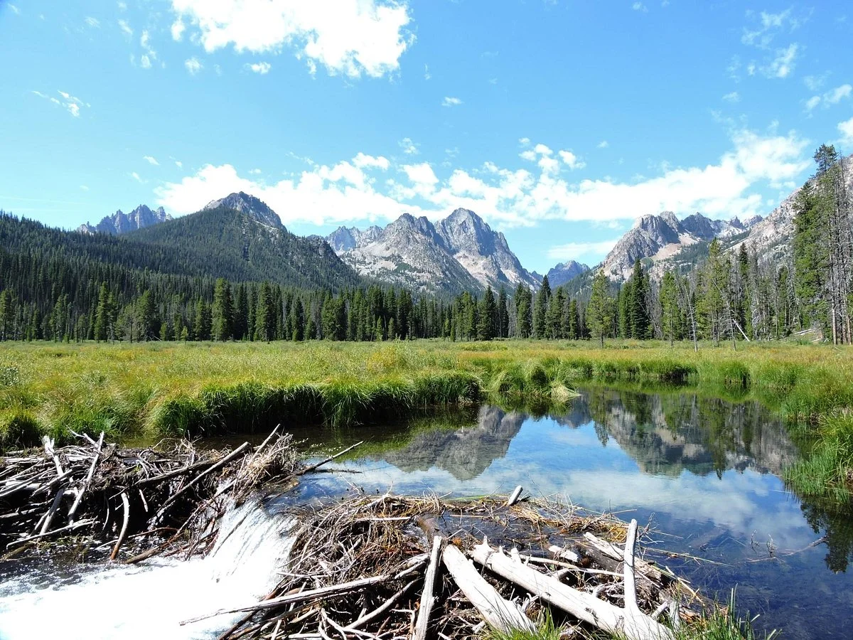 Redfish Outlet Lake
