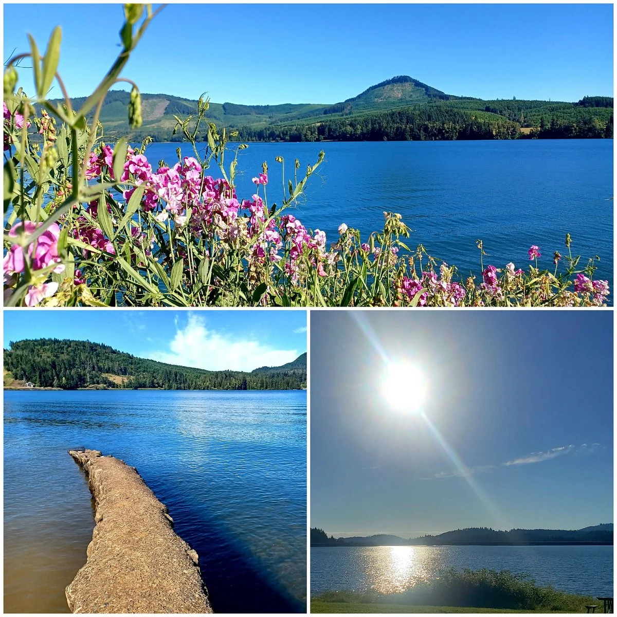 Dexter Lake