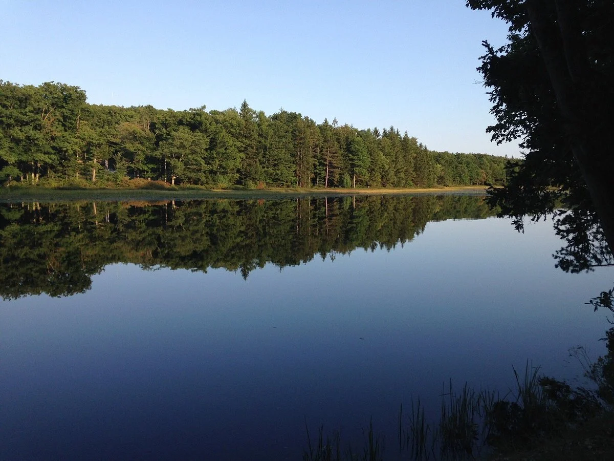 Black Moshannon State Park