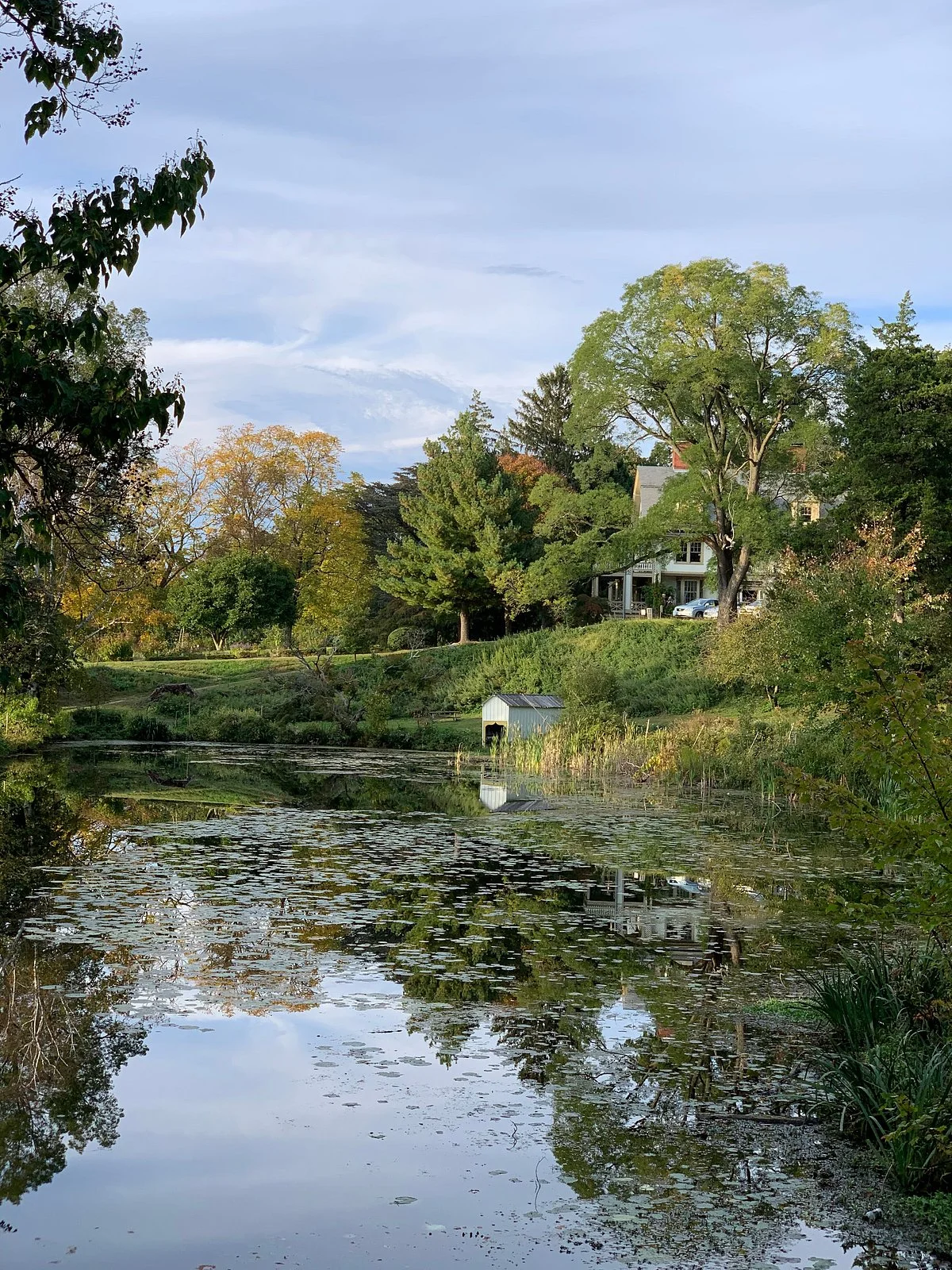 Cedarmere