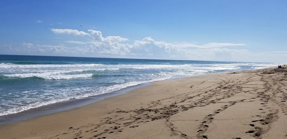 Virginia Forrest Beach
