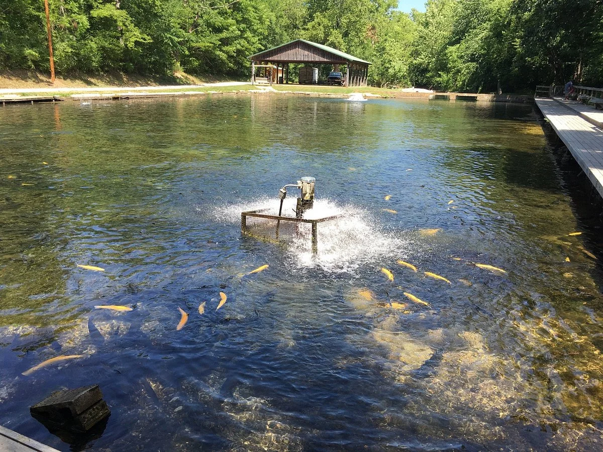 Mountain Springs Trout Park