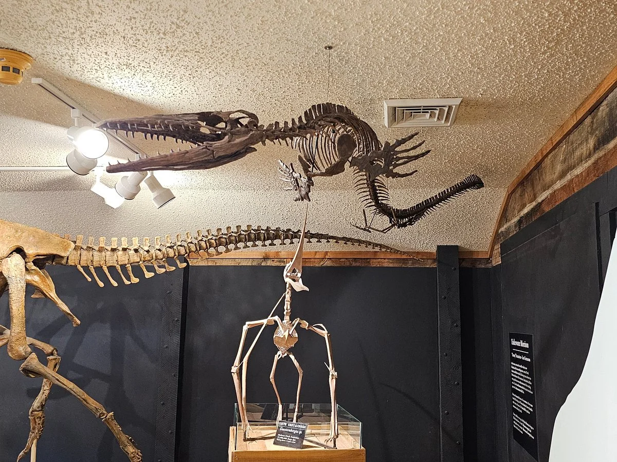 Morrison Natural History Museum