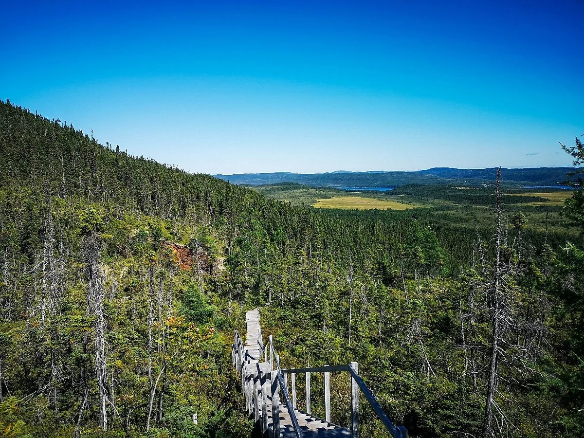 Alexander Murray Hiking Trail