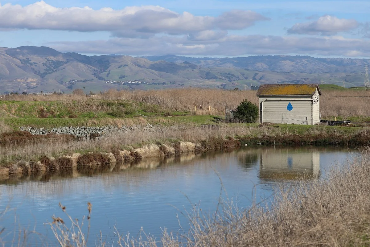 Sunnyvale Bay Trail