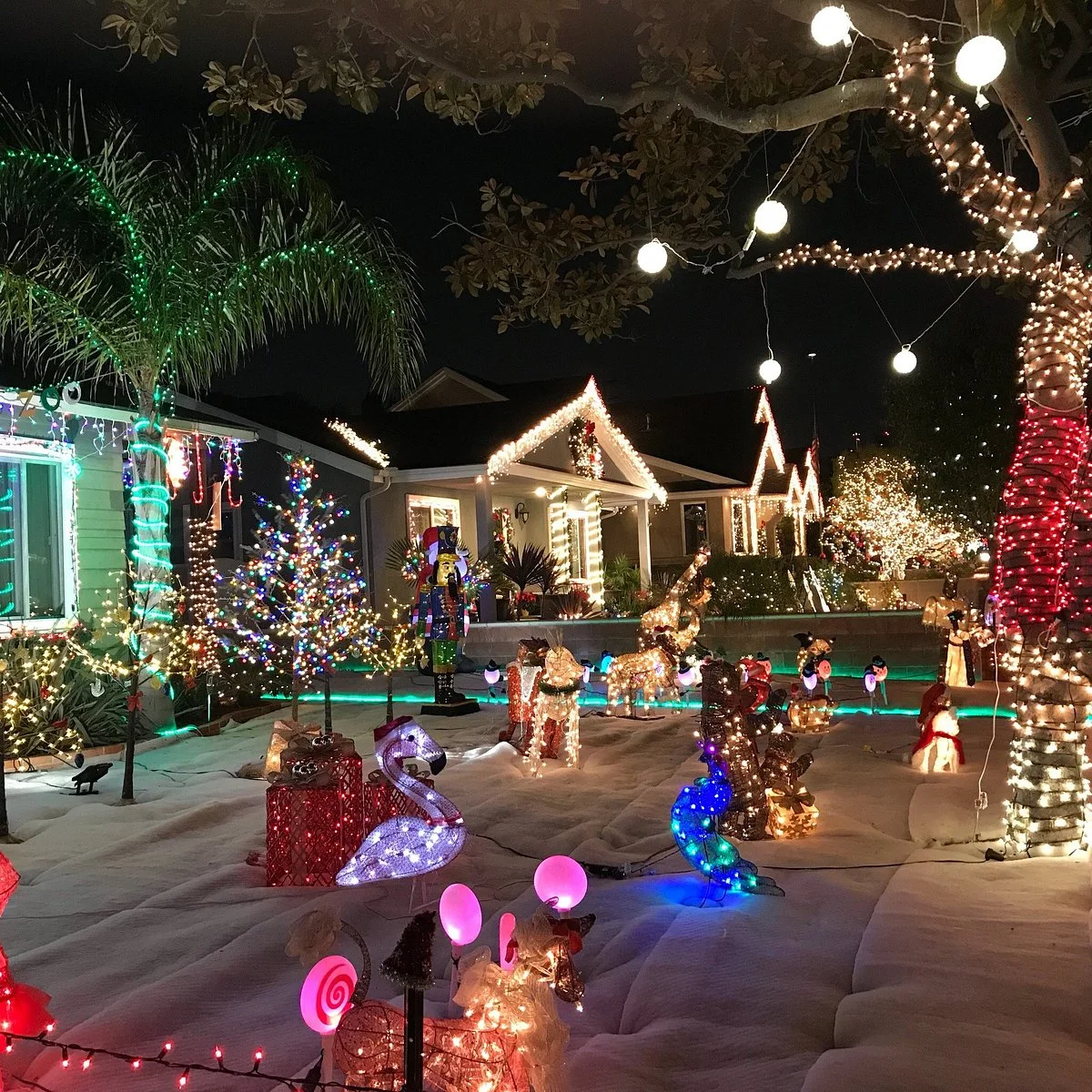 Candy Cane Lane