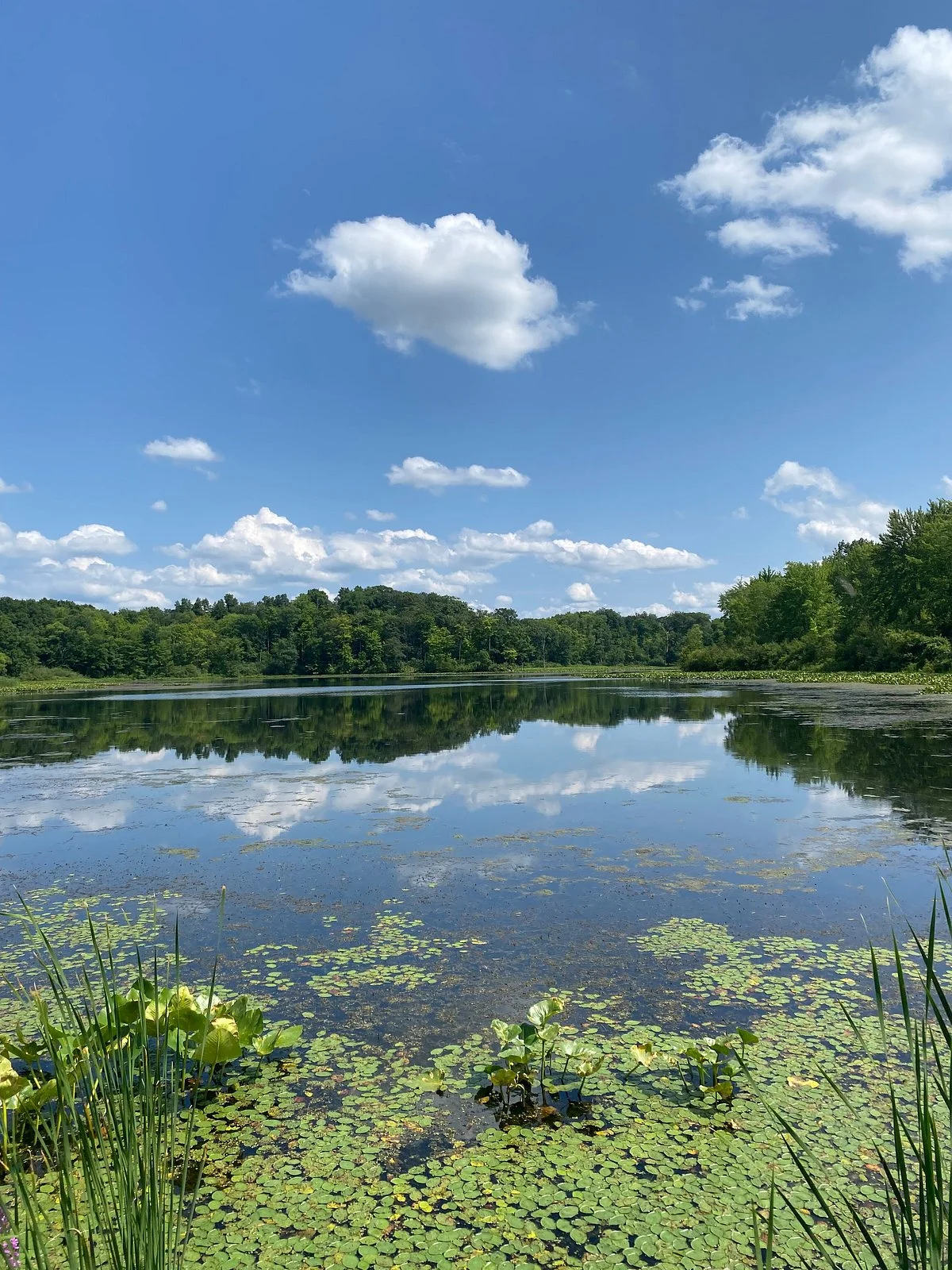 Punderson State Park