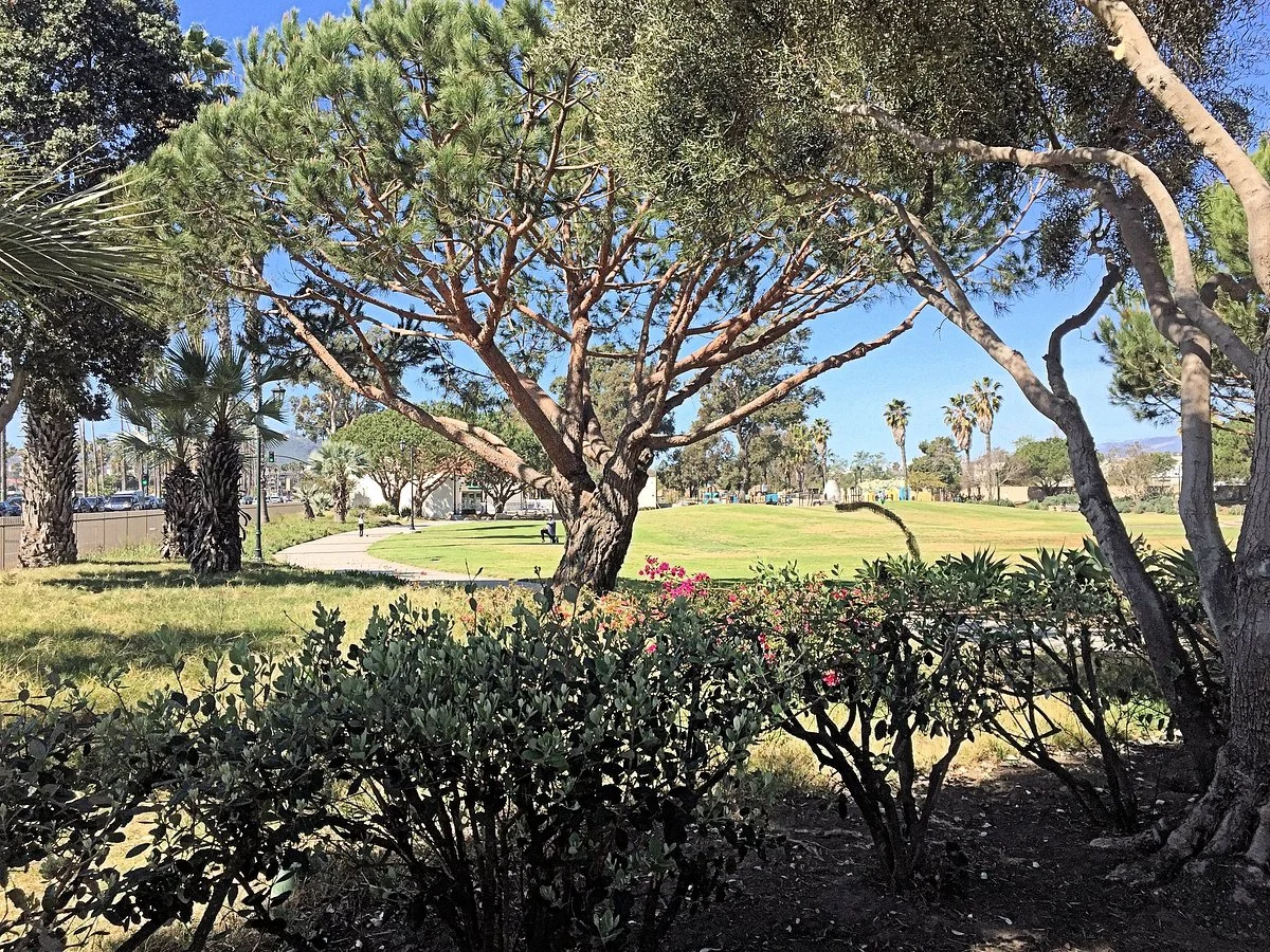 Chase Palm Park