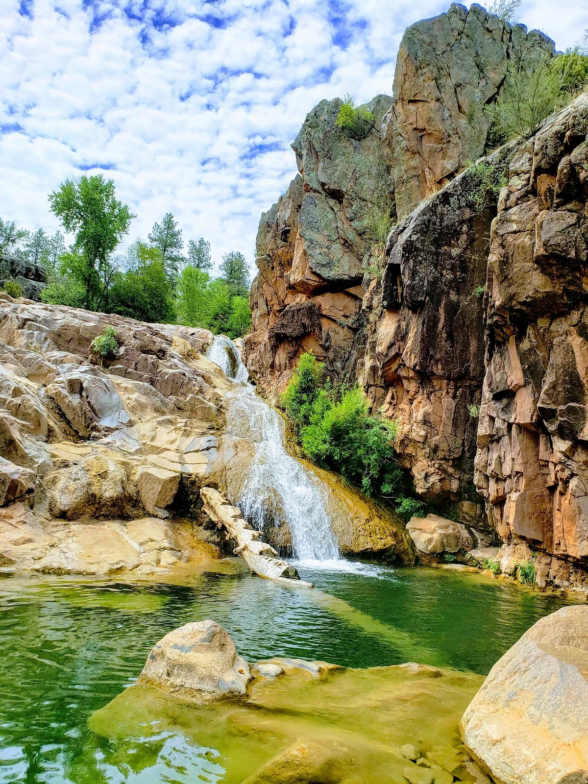Ellison Creek Waterfall